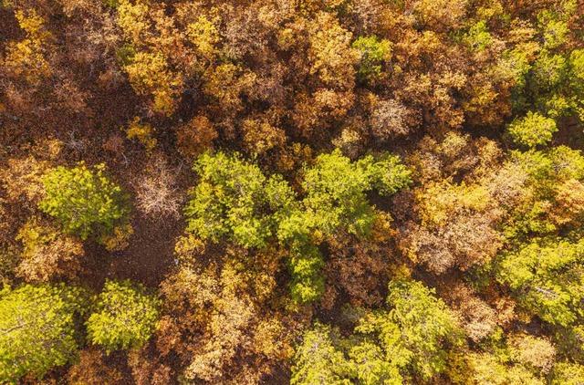 Kırıkkale'de sonbahar güzelliği 4