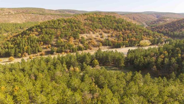 Kırıkkale'de sonbahar güzelliği 2