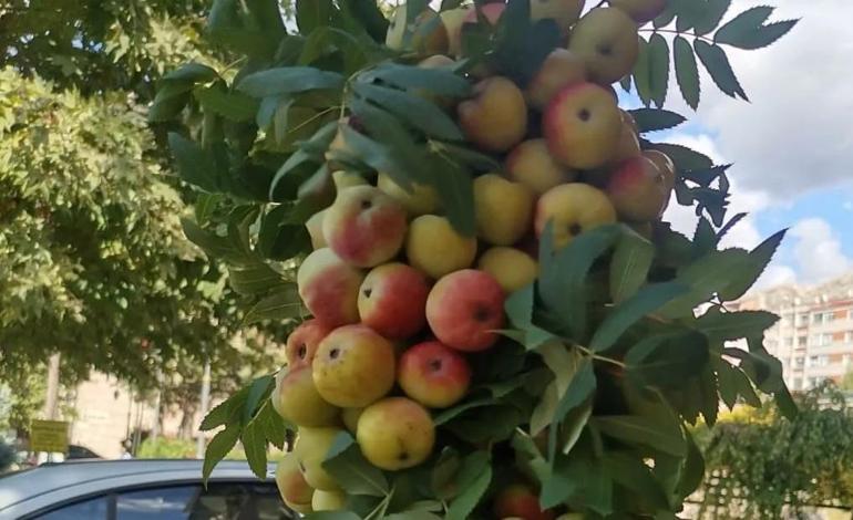 Kilosu 300 TL Grip, nezle ve soğuk algınlığına karşı koruyor Öksürük ve boğaz tahrişine karşı doğal destek