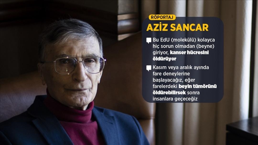 Bu deney hakkında çok konuşulacak! Kansere çözüm bulundu mu? Aziz Sancar'ın büyük başarısı 4