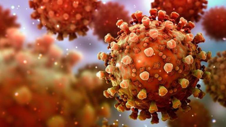 Kovid-19'dan 5 kat daha ölümcül olan Nipah virüsü yeni bir salgının habercisi mi?