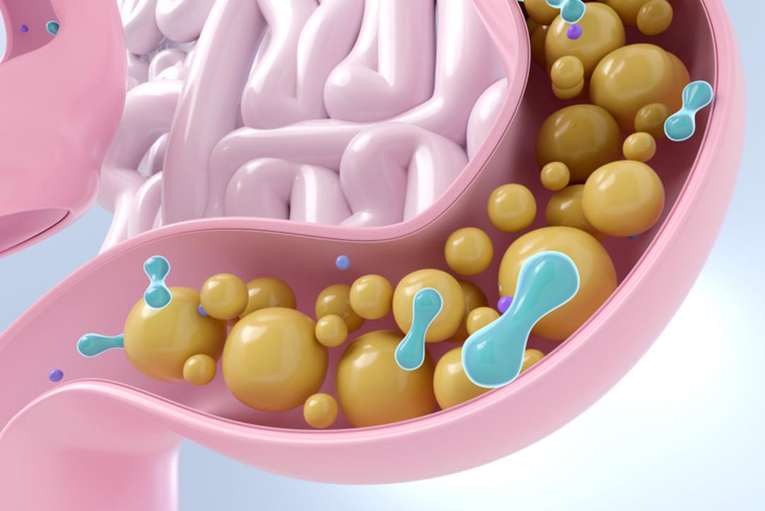 Kanser tedavisinde beklenmedik kahraman: dışkı hapları 3