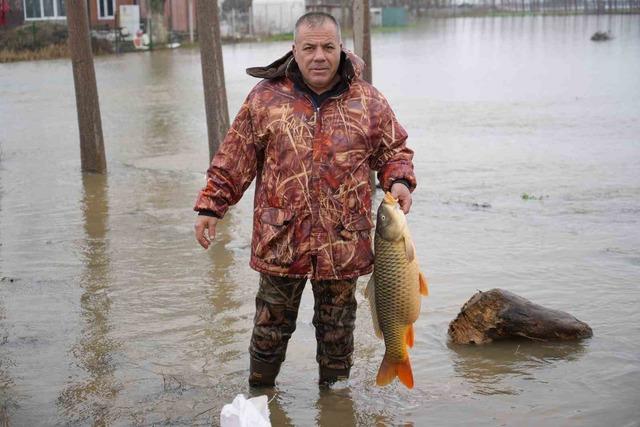 Meriç Nehri'nin taşması üzerine bazı vatandaşlar tarlalarında canlı sazan balığı yakaladı.