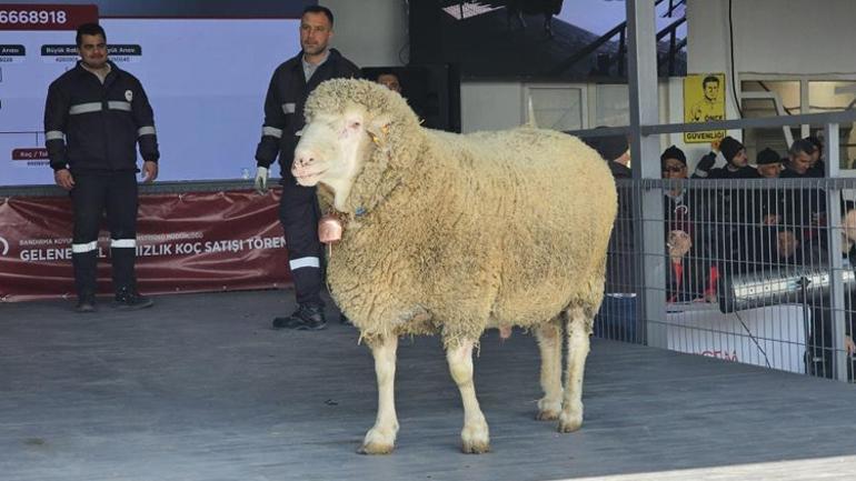 Lüks bir araba fiyatına otobüs. Fiyat şaşırtıcı.