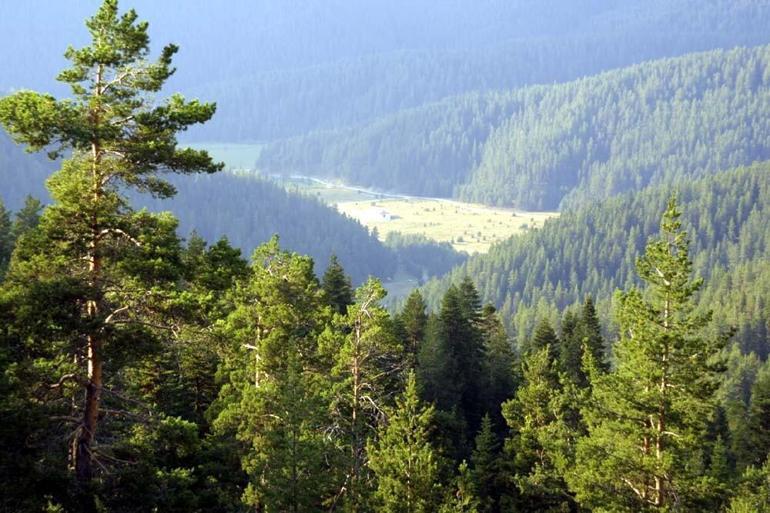 Ilgaz Dağı nerede ve nasıl gidilir? Ilgaz Dağı hakkında bilinmesi gerekenler