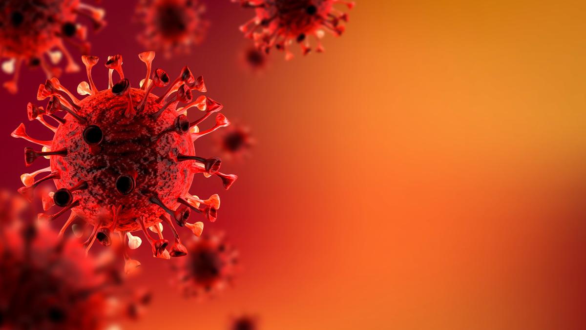 Uganda'da yeni Ebola vakaları! Tüm toplu taşıma faaliyetleri durduruldu 2
